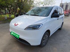 五菱汽车 五菱宏光新能源 2024款 纯电版 300KM 标准型