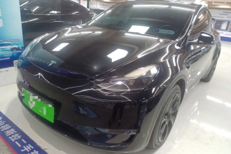 特斯拉 Model Y 2021款 标准续航后驱版