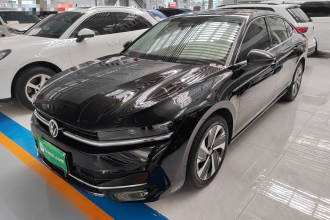 大众 迈腾 2024款  300TSI DSG尊享版显眼包