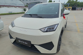 比亚迪 海鸥 2025款 智驾版 305km 活力版