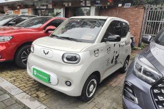 五菱汽车 宏光MINIEV 2024款 第三代 215km 青春版