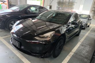 特斯拉 Model 3 2020款 标准续航后驱升级版