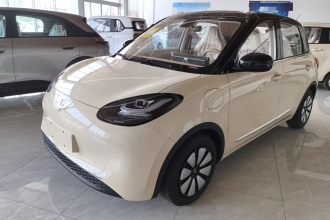 五菱汽车 五菱缤果 2025款 333km 悦享款