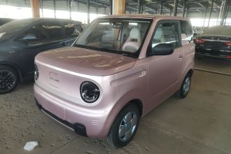 吉利银河 2023款 熊猫mini 200km 耐力熊