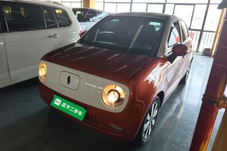 欧拉黑猫 2019款 351km 女神版