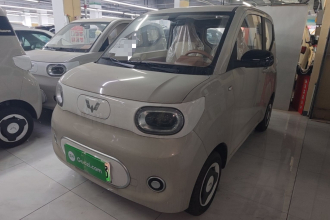 五菱汽车 宏光MINIEV 2024款 第三代 215km 青春版