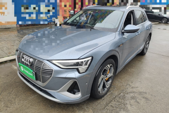 奥迪e-tron 2021款 50 quattro 臻选型