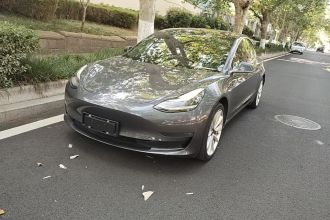 特斯拉 Model 3(进口) 2019款 长续航后驱版