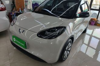 五菱汽车 五菱缤果 2024款 333km 悦享款