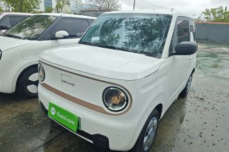 吉利银河 2024款 熊猫mini 200km 耐力熊
