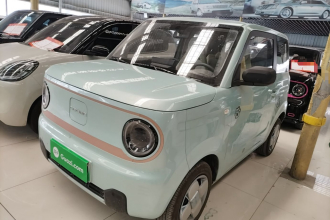 吉利银河 2024款 熊猫mini 200km 耐力熊