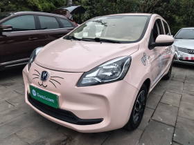 长安 奔奔E-Star 2021款 国民版 心悦版 磷酸铁锂（31.86kWh）