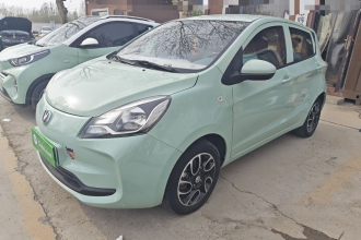 长安 奔奔E-Star 2021款 国民版 多彩款 磷酸铁锂（31.86kWh）