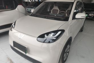 五菱汽车 五菱缤果 2025款 333km 悦享款