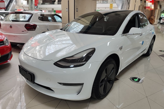 特斯拉 Model 3(进口) 2019款 长续航后驱版