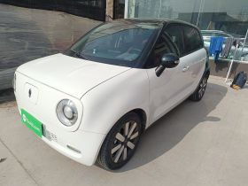 欧拉黑猫 2021款 405km 长续航型