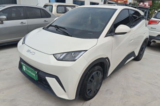 比亚迪 海鸥 2025款 305km 活力版