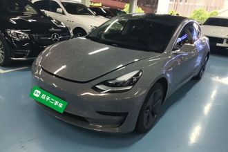 特斯拉 Model 3 2019款 标准续航后驱升级版