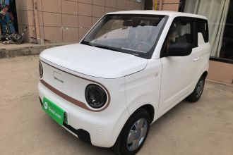 吉利银河 2024款 熊猫mini 200km 耐力熊