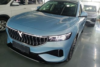 岚图汽车 岚图FREE 2021款 四驱标准纯电专属豪华套装