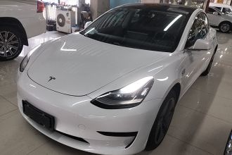 特斯拉 Model 3(进口) 2019款 标准续航后驱升级版