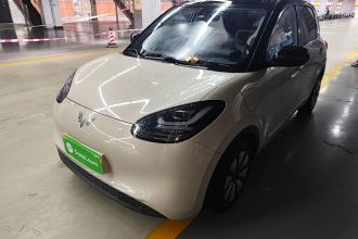 五菱汽车 五菱缤果 2023款 333km 悦享+款