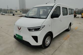 五菱汽车 五菱扬光 2024款 300KM 舒适型客车版 75kW