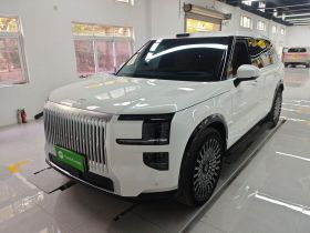 极氪9X 2025款 Max版 55kWh