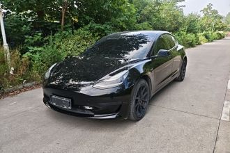 特斯拉 Model 3 2020款 标准续航后驱升级版