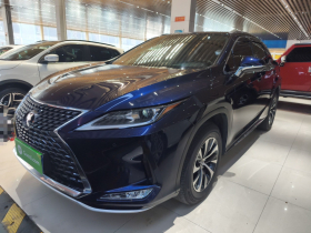 雷克萨斯RX 2020款 改款 300 两驱舒适版