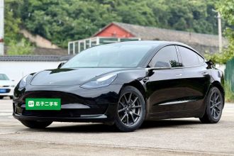 特斯拉 Model 3 2020款 标准续航后驱升级版