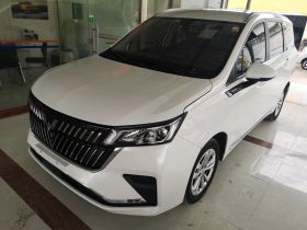 五菱汽车 五菱佳辰 2022款 1.5T 手动轻享活力型