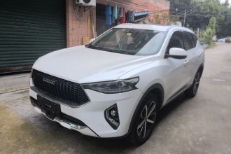 哈弗F7 2019款 1.5T 两驱i潮 国VI