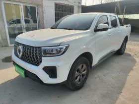 长城 炮 2023款 2.0T商用版自动柴油四驱精英型长箱GW4D20M