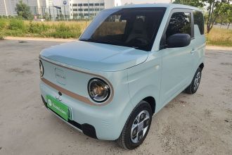 吉利银河 2024款 熊猫mini 200km 耐力熊