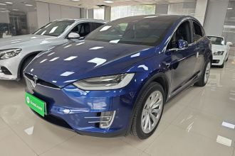 特斯拉 Model X 2019款 长续航版