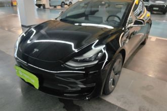 特斯拉 Model 3(进口) 2019款 长续航全轮驱动版