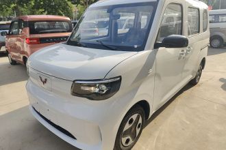 五菱汽车 五菱之光新能源 2025款 305km 进取型
