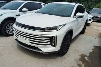 星途凌云 2021款 290T 两驱星耀版
