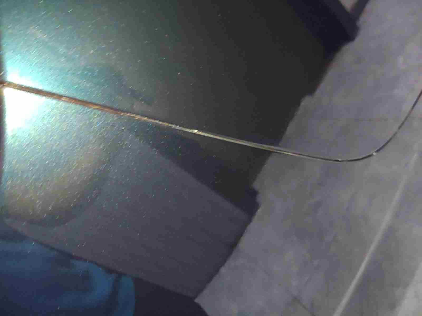 岚图梦想家车尾整体外观