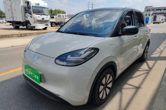 五菱汽车 五菱缤果 2023款 333km 灵犀互联+款