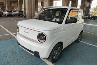 吉利银河 2024款 熊猫mini 200km 龙腾版