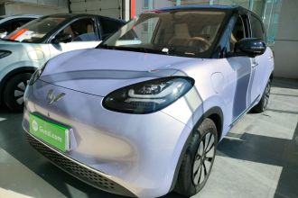 五菱汽车 五菱缤果 2025款 333km 灵犀尊享款