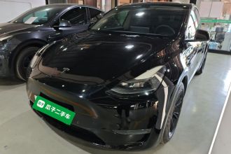 特斯拉 Model Y 2021款 长续航全轮驱动版