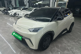 比亚迪 海鸥 2023款 活力版
