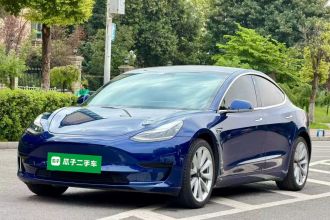 特斯拉 Model 3(进口) 2019款 标准续航后驱升级版