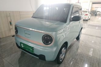 吉利银河 2024款 熊猫mini 200km 耐力熊