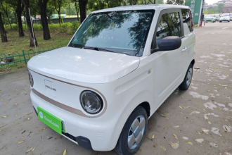 吉利银河 2023款 熊猫mini 120km 超萌熊