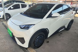 比亚迪 海鸥 2025款 305km 活力版
