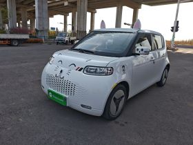 欧拉白猫 2020款 360km 豪华型